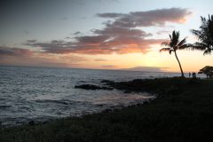 Kihie_Maui_2021_IMG_1504-scaled
